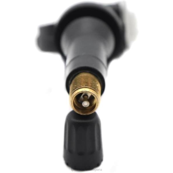 6LBV1698 - sensor de presión de neumáticos TPMS Tpms haval/gwm el sensor de presión 3641101xkn01a 433mhz